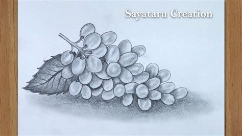 How To Draw Grapes Step By Step Pencil Sketch Drawing For Beginners