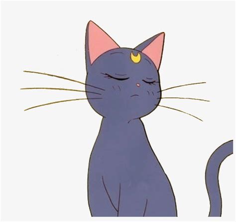 Anime Cat Sailormoon Aesthetic Tumblr Sticker Freetoedi Anime Cat