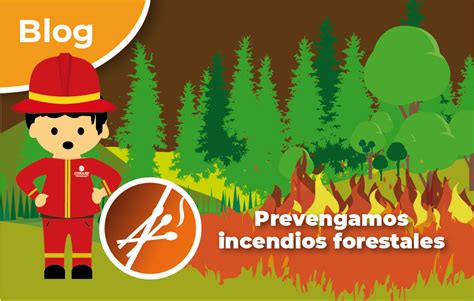 Prevengamos Incendios Forestales Comisión Nacional De Áreas Naturales