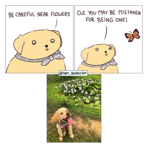Be Careful Rwholesomememes Wholesome Memes Know Your Meme
