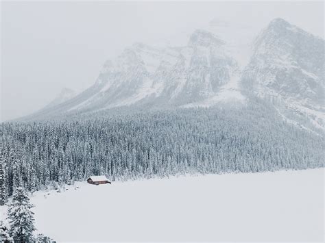 Snow Mountains Jungle Trees Winter Landscape Hd Wallpaper Preview