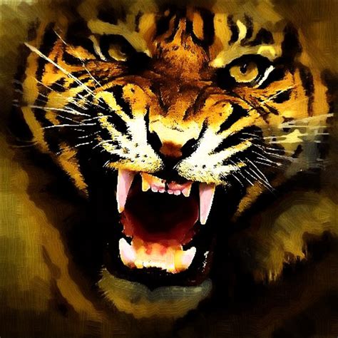 Mad Tiger Face Digital Gothic Style Oil Painting Virtual Flickr