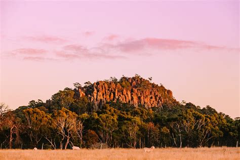 7 Summer Picnics In The Macedon Ranges Best Places To Have Picnics