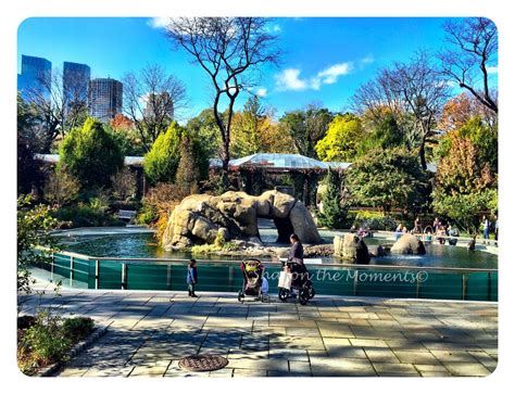 Central Park In New York City Hidden Gem Sharon The Moments