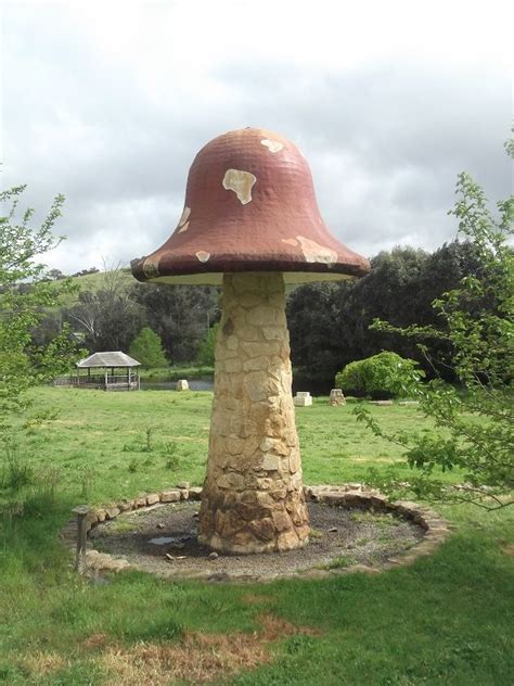 The Big Magic Mushroom Balingup Western Australia