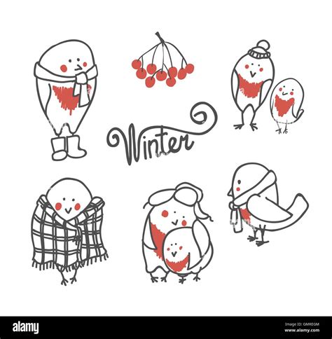 Funny birds bullfinch in cap, white set Stock Vector Image & Art - Alamy