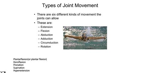 Solved Part Types Of Synovial Joints You Are Requested Chegg Com