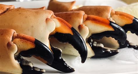 Florida Stone Crab Claws Delivered Grimms Stone Crab