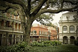 Metairie, LA: A Charming New Orleans Suburb