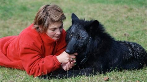 Bildergalerie Die Lange Partnerschaft Von Mensch Und Hund Hund Und