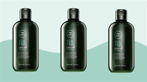 The Best Drugstore Shampoos And Conditioners By Hair Type Artofit