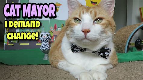 Cat Mayor Executive Order Name Change Youtube