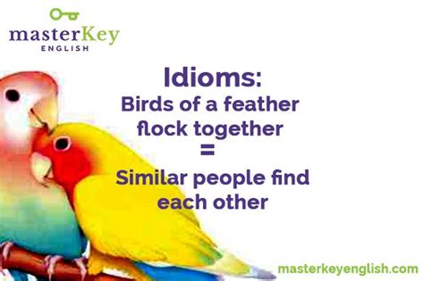 English Idiom Birds Of A Feather Flock Together Masterkey English
