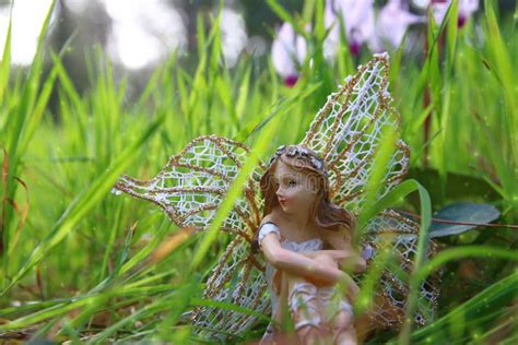 Image Of Magical Little Fairy Sitting In The Forest Stock Image