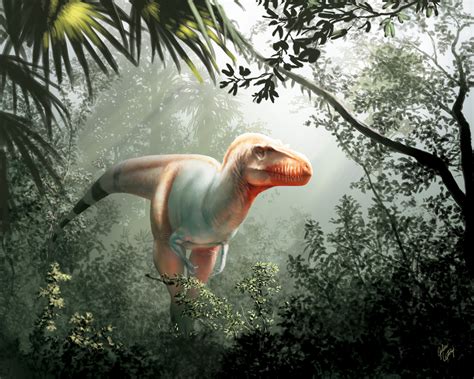 Reaper Of Death Newfound Cousin Of T Rex Discovered In Canada