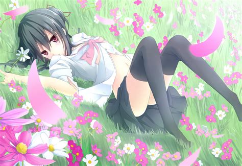 Fond d écran illustration fleurs cheveux longs Anime Filles anime