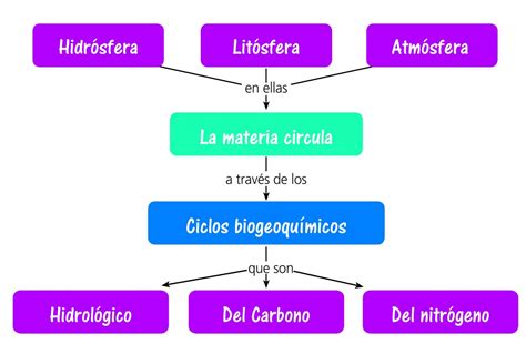 Mapa Mental De Los Ciclos Biogeoquimicos Mema Images