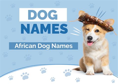 100 African Dog Names Unique And Exotic Ideas With Meanings Hepper