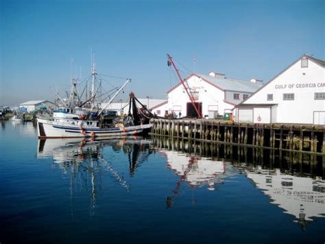 Get Fresh Bc Fish At The Annual Fishermans Herring Sale In Steveston