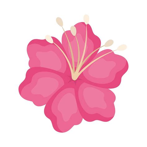 Dise O De Vector De Flor Hawaiana Rosa Aislado Vector En Vecteezy