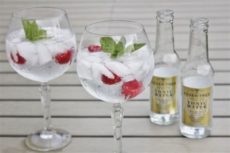 gin tonic frozen raspberry cocktailicious nl
