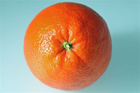 Orange Agrumes Coquille Photo Gratuite Sur Pixabay Pixabay