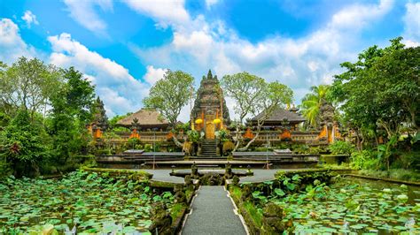 16 Tips For Planning A Trip To Bali Lonely Planet