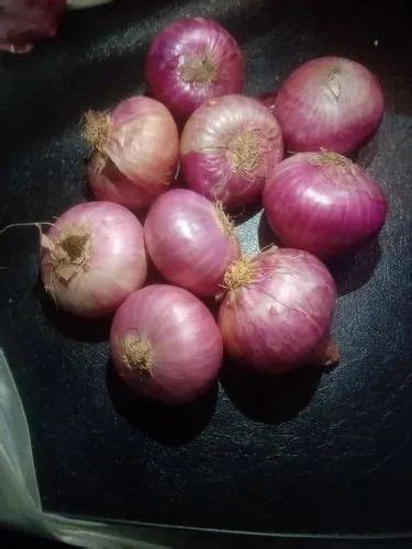 A Grade Bangalore Onion Packaging Size 200 Kilograms Onion Size