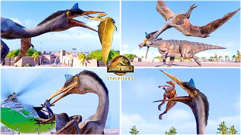 Quetzalcoatlus All Perfect Animations 🦖 Jurassic World Evolution 2