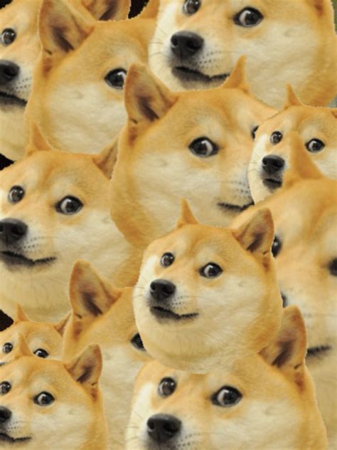 1080 X 1080 Doge Doge Wallpaper 1920x1080