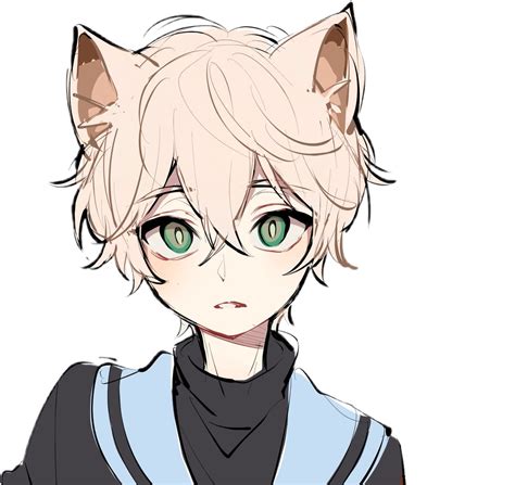 Aesthetic Anime Boy Transparent Background Cute Neko