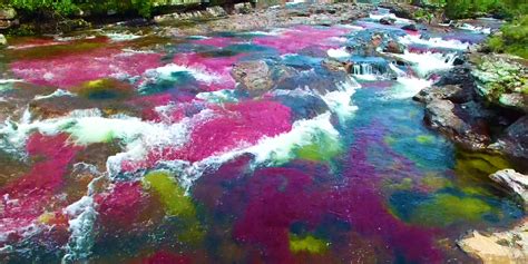 Colombia Has A Rainbow River Called Caño Cristales Business Insider