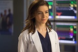Who Is Amelia Shepherd on Grey's Anatomy? Inside the Character!