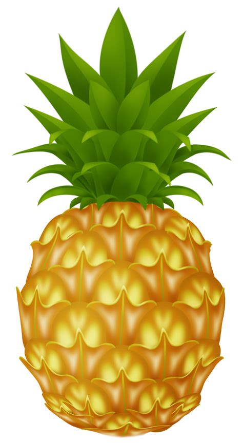 Clipart Pineapple Printable Clipart Pineapple Printable Transparent