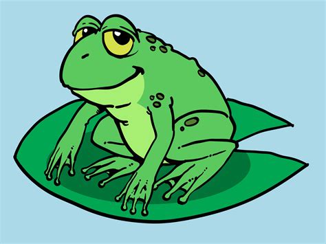5 Frogs Cartoon Clipart Best