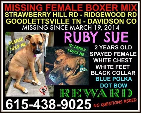 Please Be On The Look Out For Ruby Sue Missing Since March 19 2014