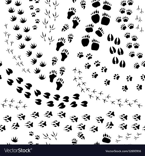 Poster, kunstdruck und postkarte, illustration © iris luckhaus. Tierspuren Gratis : Insieme Delle Siluette Nere Degli Uccelli E Di Forest ... - This is an ...
