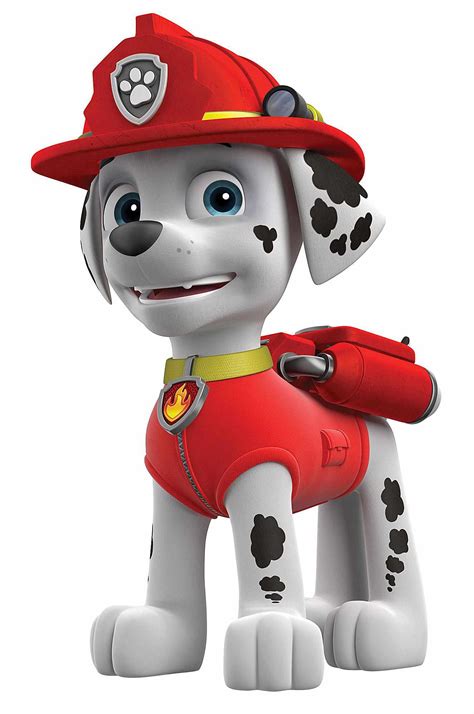 Kids Tv Meet Your Favorite Paw Patrol Characters