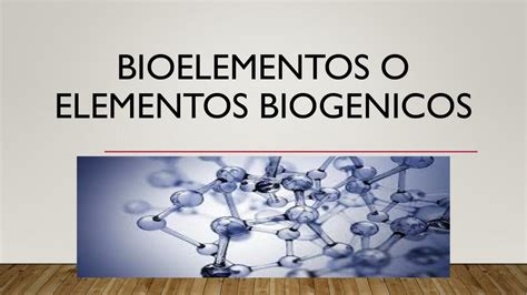 Bioelementos O Elementos Biogénicos Bryan Josue Zambrano Anchundia