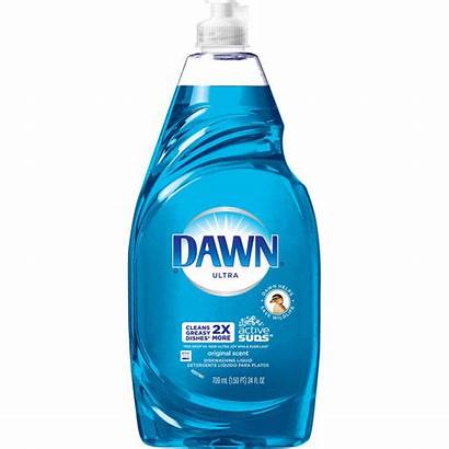 Dawn Dish Window Soap Cleaner Dog Liquid