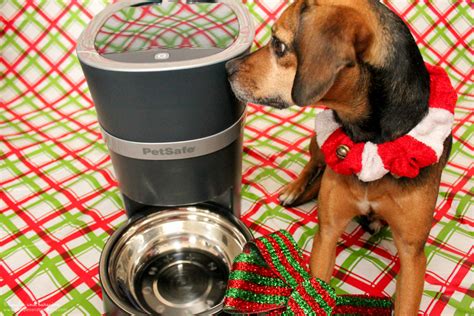 2 best automatic pet feeder 2021. Benefits of an Automatic Pet Feeder | Stocking Stuffer ...