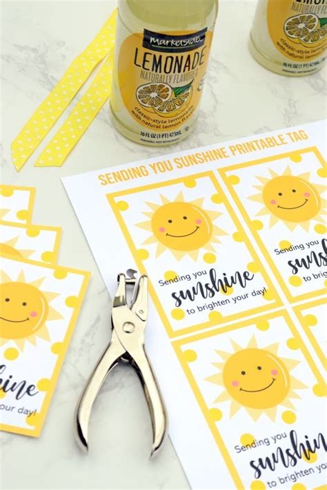 Sending Sunshine Box Of Sunshine Printable Gift Tag Friend Etsy Artofit