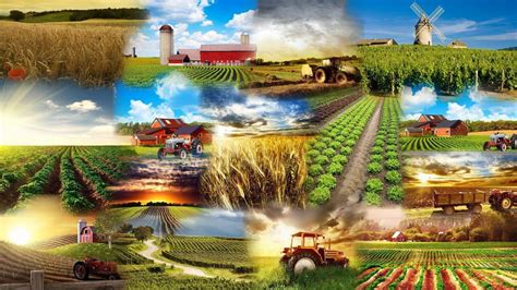 Agriculture Wallpapers Wallpaper Cave