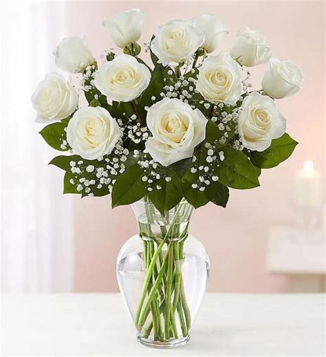 Premium Long Stem White Roses Bunches
