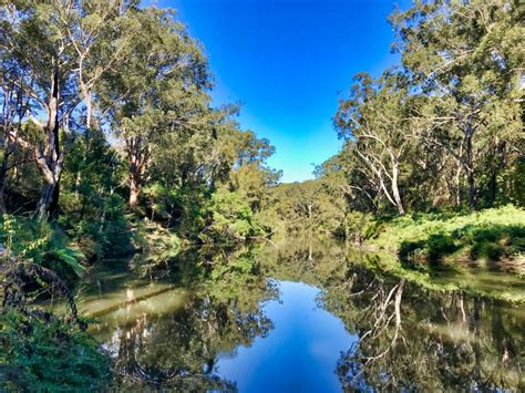 Lane Cove National Park Riverside Circuit Walk Indulgent Experiences