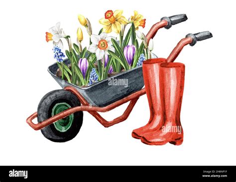 Watering Can Garden Wheelbarrow With Flowers And Garden Tools Spring