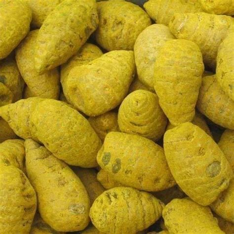 Salem Finger Dry Turmeric Bulb For Food At Rs 95 Kg In Coimbatore ID
