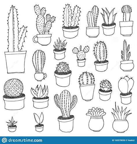Illustration About Set Of Cactus Drawing Illustration Hand Drawn Doodle