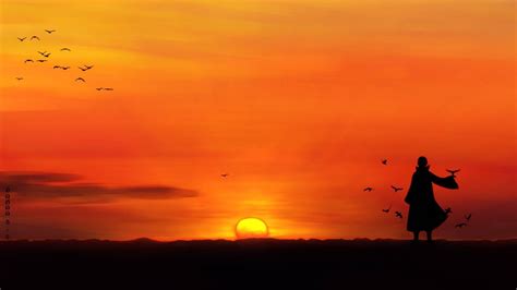 We present you our collection of desktop wallpaper theme: Wallpaper : 1920x1080 px, anime, birds, silhouette, sunset ...