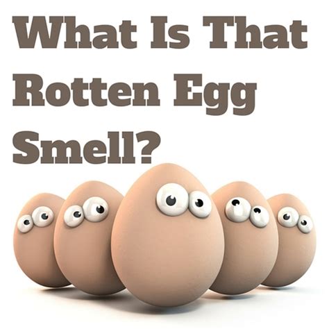 A Guide For Eliminating The Rotten Egg Smell From Your Water Ureadthis